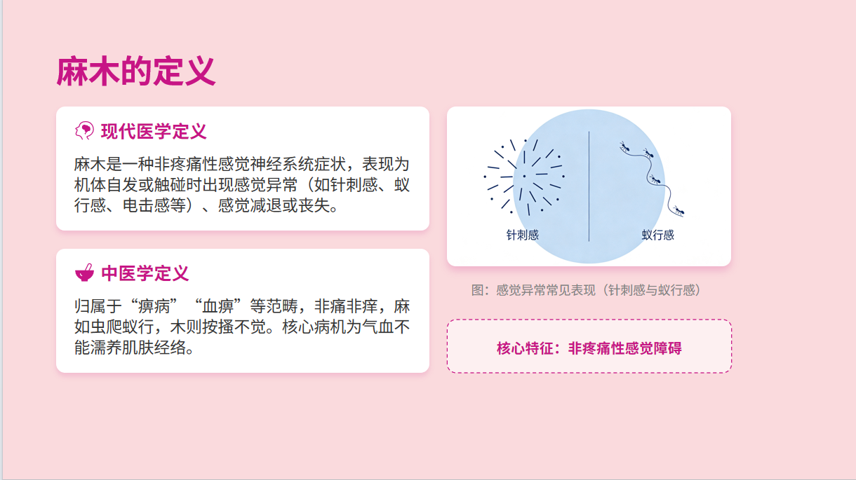 图片[4]-麻木诊治与管理专家共识解读（2025年版）PPT【51页】-成长中的独角兽